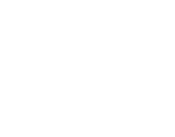 Happybrush